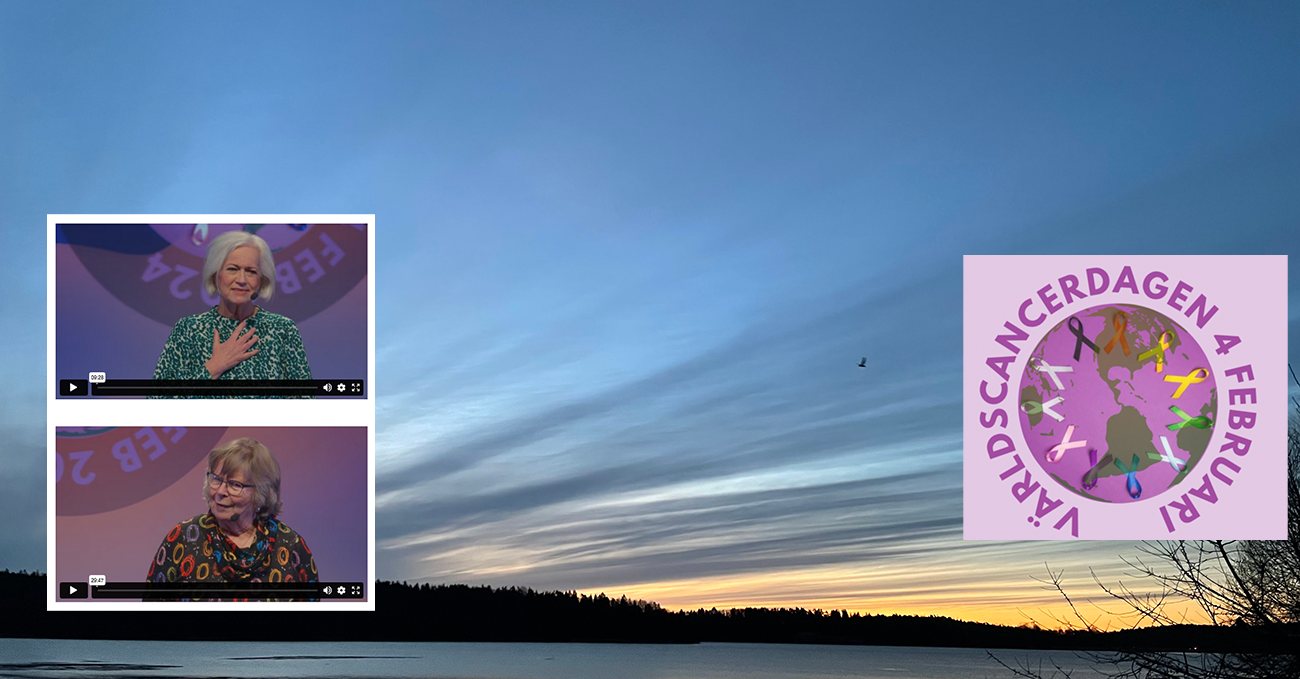 Varldscancerdagen 2024 Genrebild Kvallshimmel Solnedgang 0774 Fhsj Montage