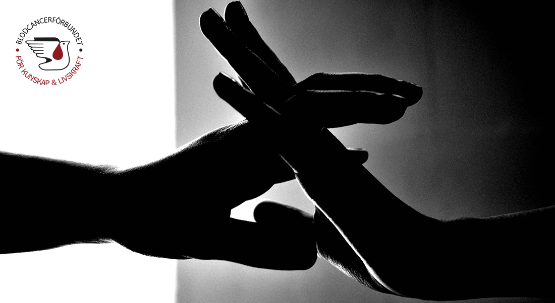 Genrebild Narhet Samliv Njutning Lucent Designs Dinoson20 Pixabay 1920 1100Pxb M Blcflogga