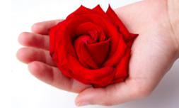 Skärmavbild 2016 10 10 Kl. 23.08.41