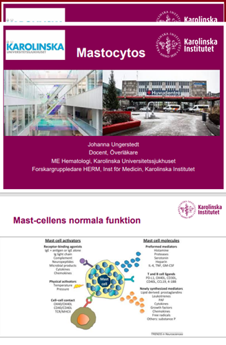 presentation mastocytos Ungerstedt 2023