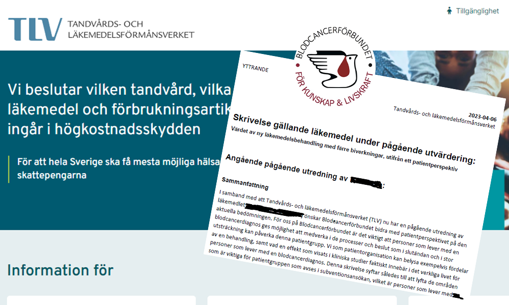 Montage Yttrande BLCF Till TLV April 2023