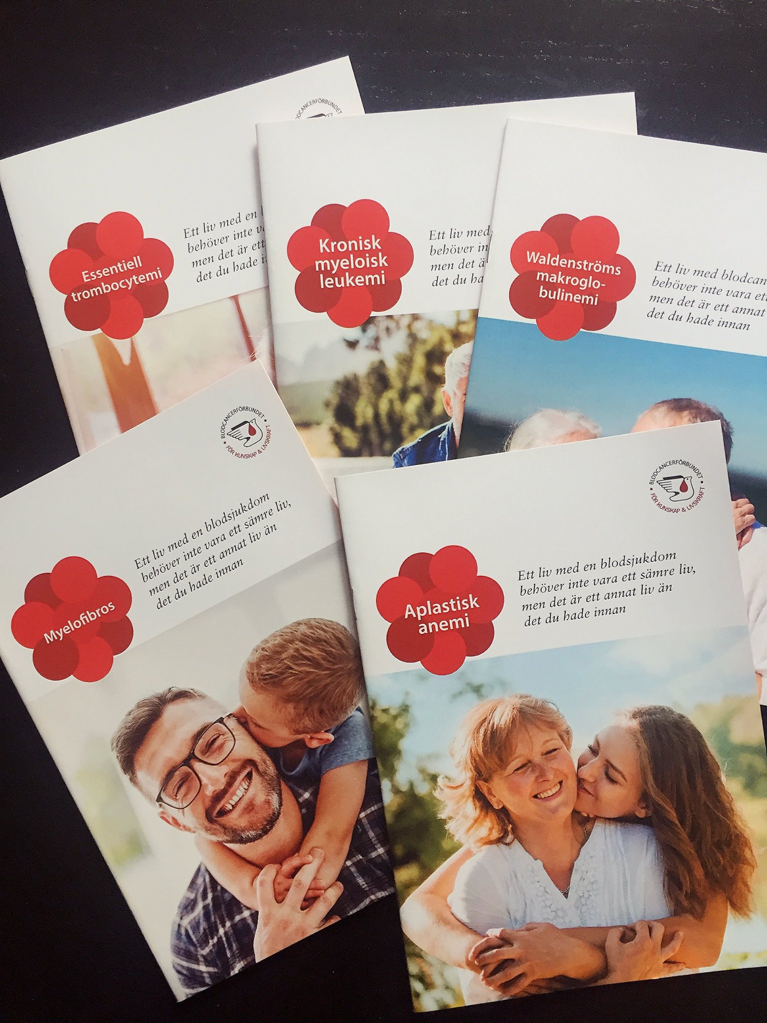 20989183 1755613471135183 6894856625770735586 O 1