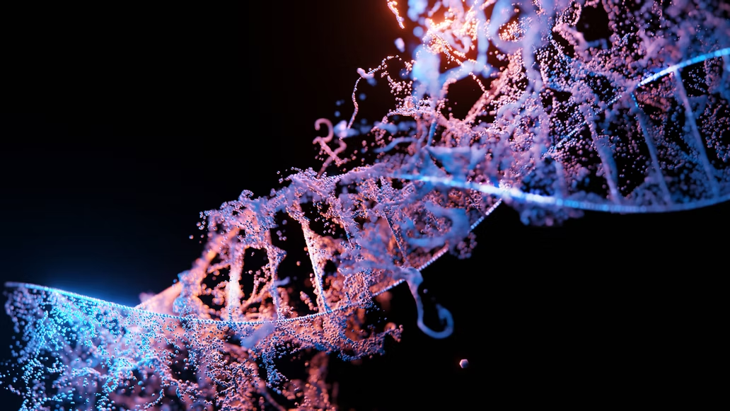 Unsplash DNA