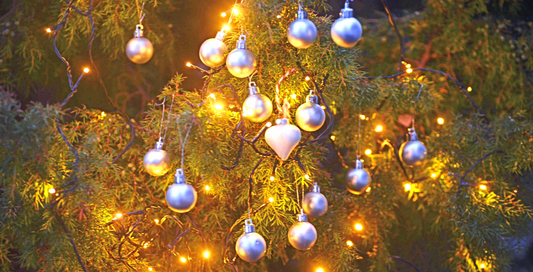 15 Julgranskulor I En En Fhsj Ny Forening Valkomnad 16X9 DSC9547