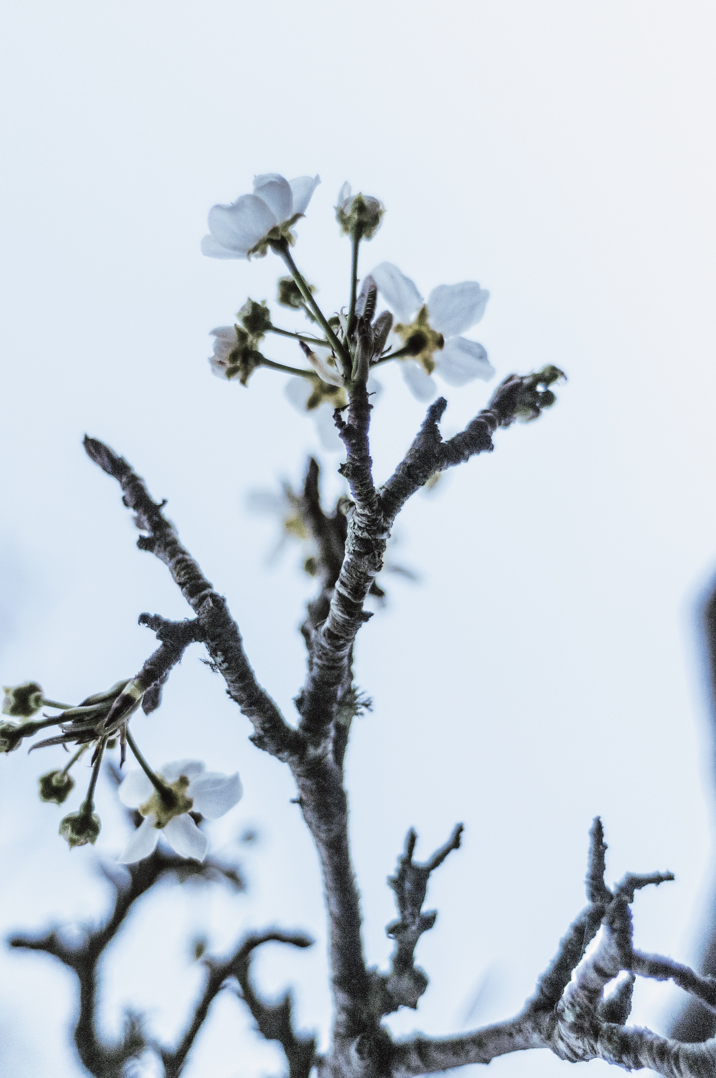 Alexander Montes Ejmueobe U0 Unsplash