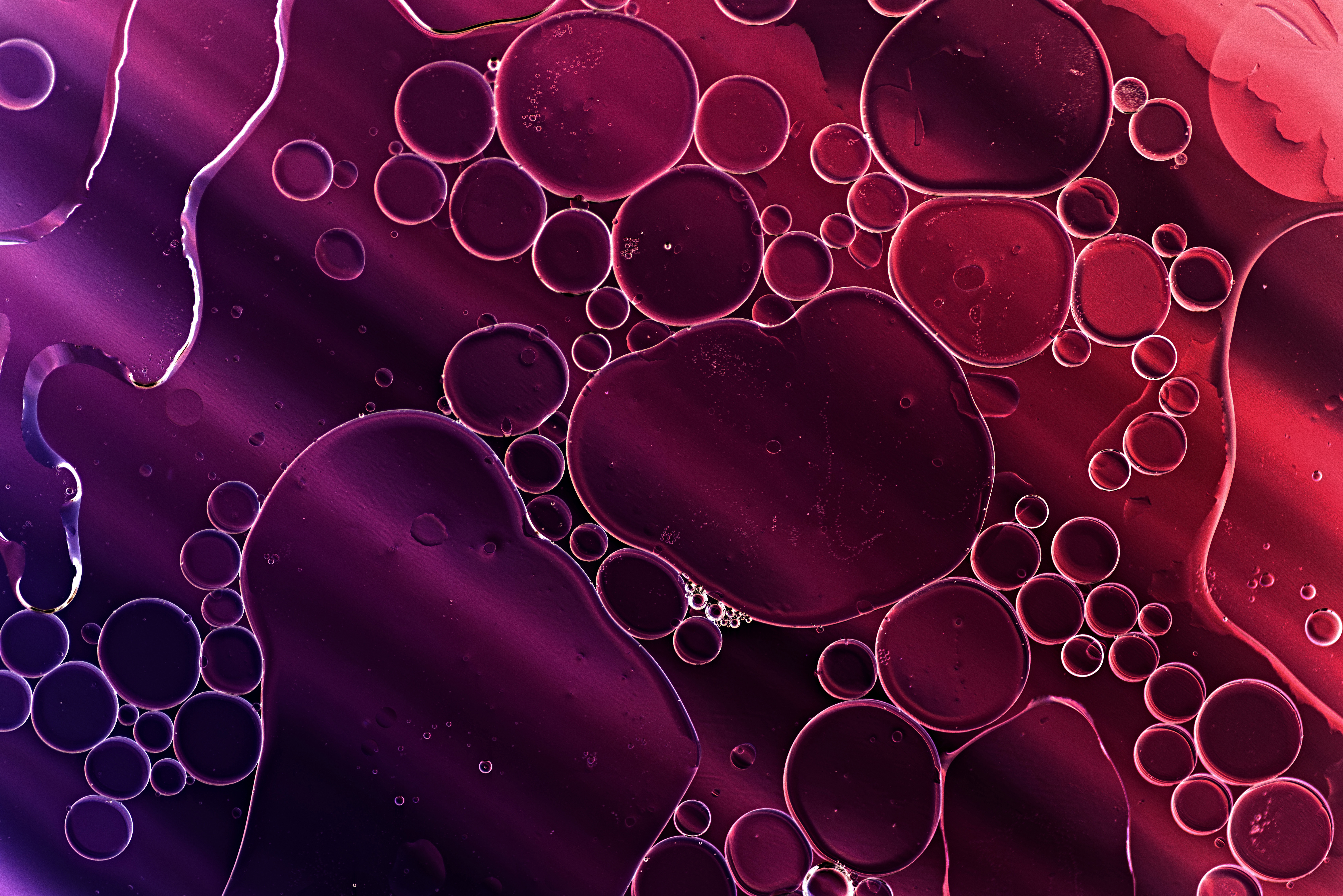 Bubbles Background ELXVWAE (1)