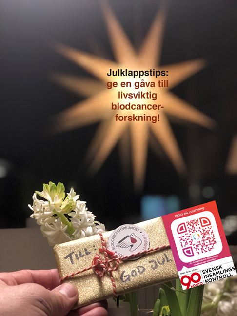 julgåva till blodcancerforskningen via BLCF
