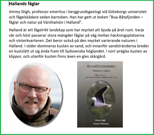 Hallands fåglar Jimmy Stigh