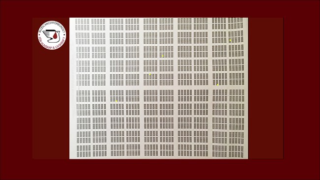 5 Av 10000 Illustration