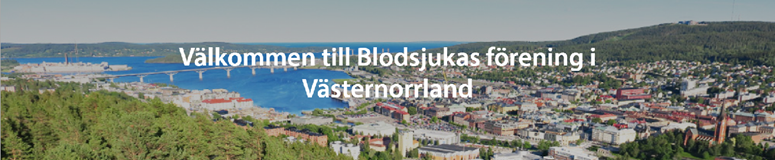 Bild över Sundsvall i Västernorrland