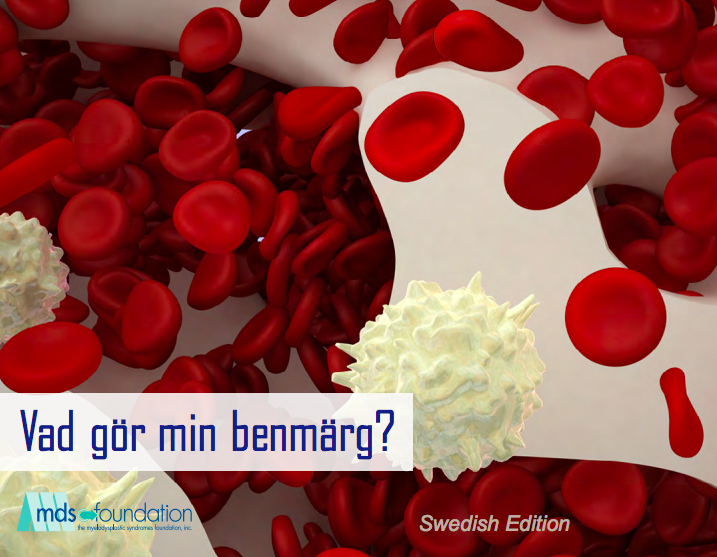 Skärmavbild 2019 03 29 Kl. 20.42.14 (1)