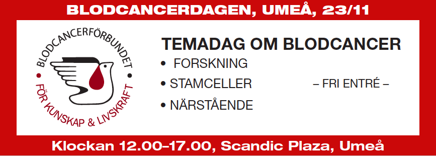 Skärmavbild 2019 11 20 Kl. 07.47.16