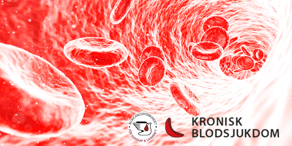 KBS Som Lokalförening I BLCF Startbild Webben 1
