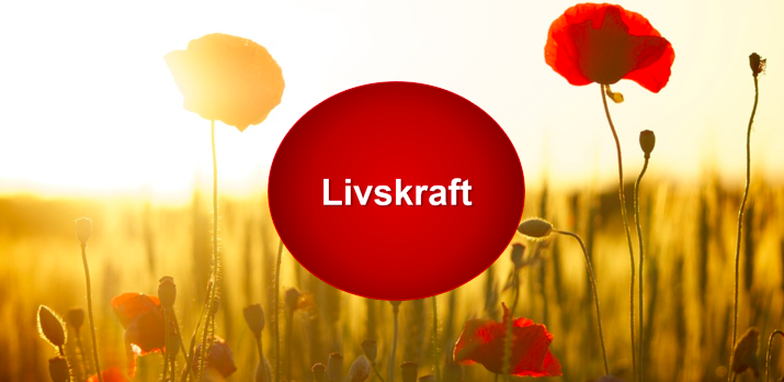 Skärmavbild 2019 09 30 Kl. 16.33.03 (1)