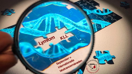 lymfom och KLL - webbinarium 15 september 2022