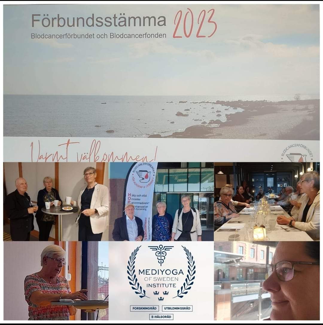 FB IMG 1684573151467