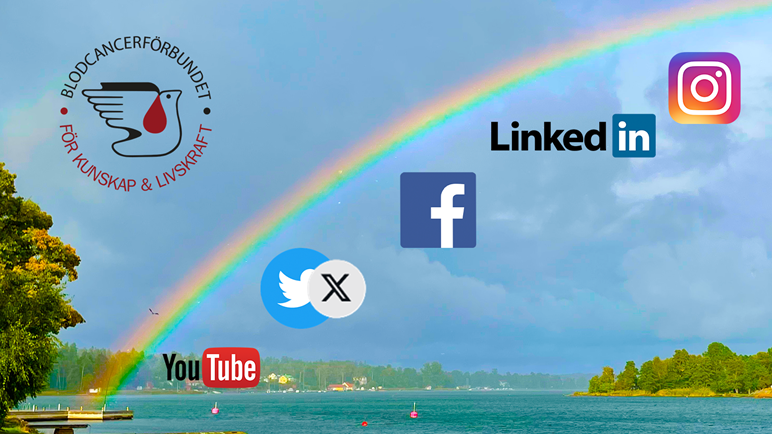 BLCF sociala medier med X