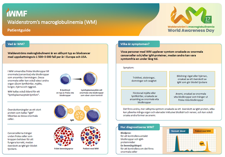 WM waldenstrom folder sid 1 2024