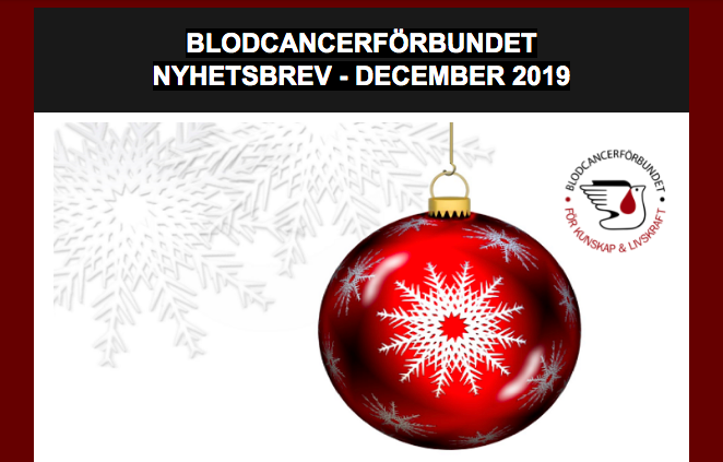 Skärmavbild 2019 12 20 Kl. 08.44.21