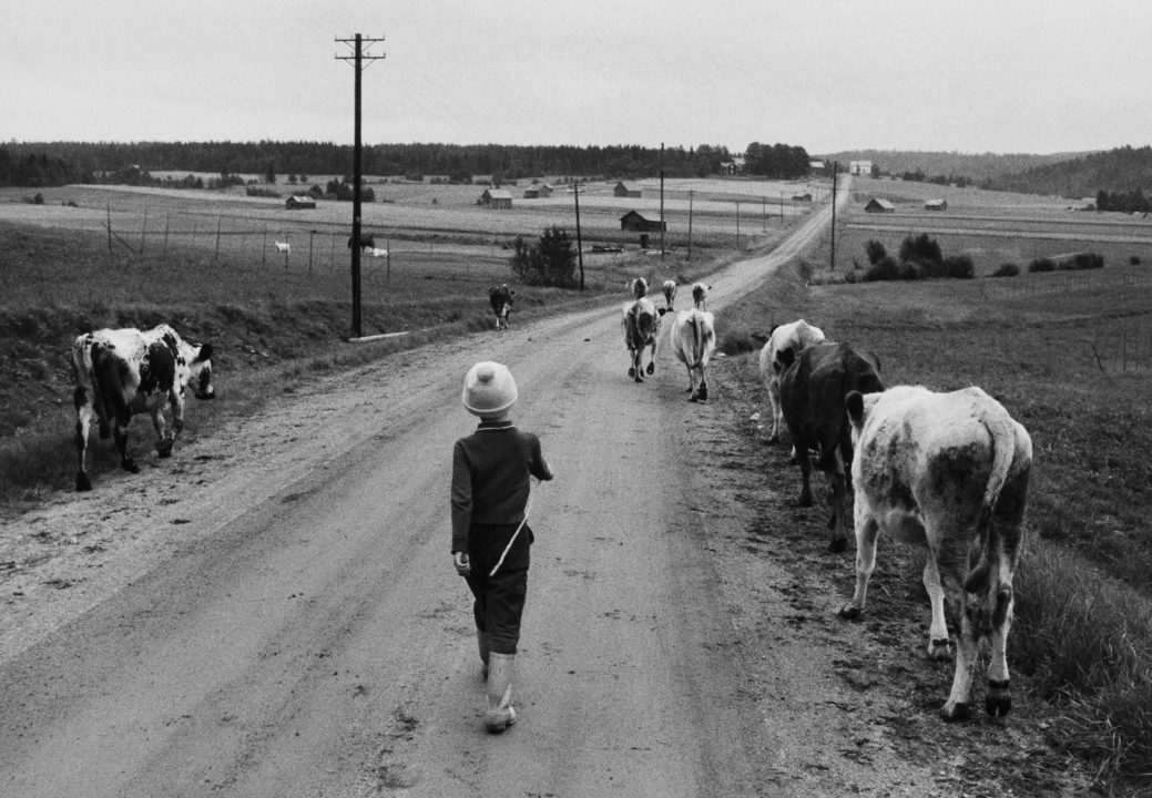 Vb Museum Utställning 2