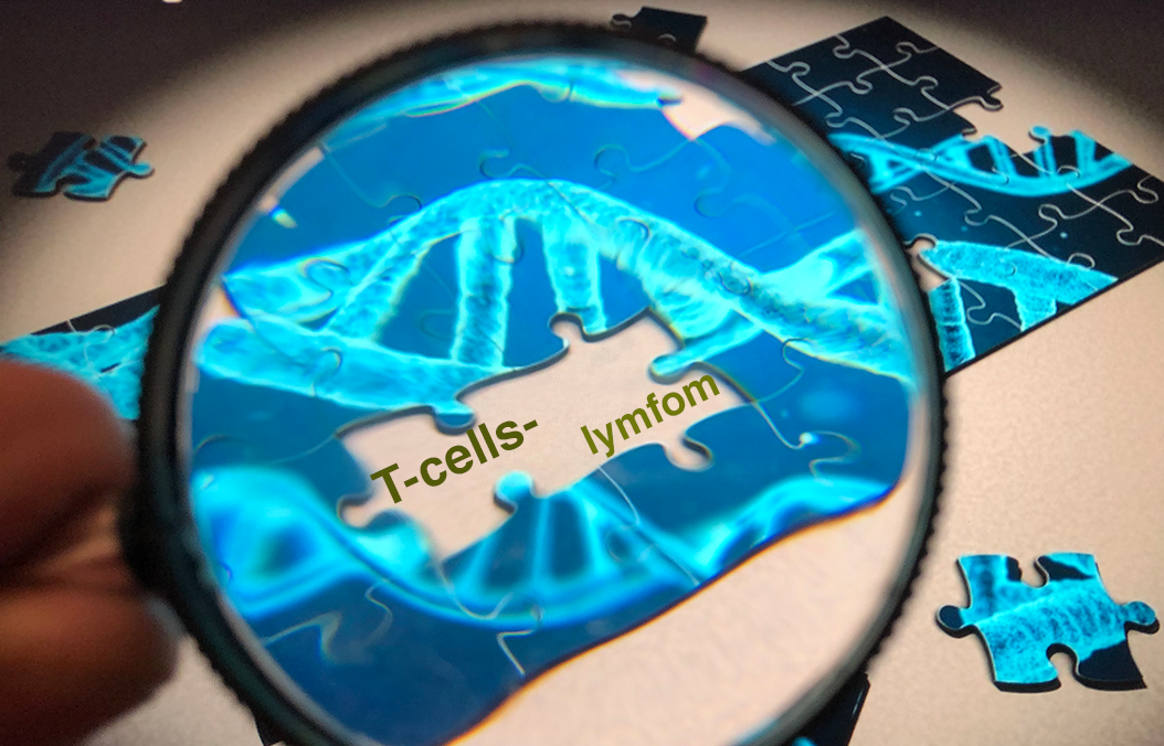 Forskning Pussel Med Fortstoringsglas Fhsj T Cellslymfom