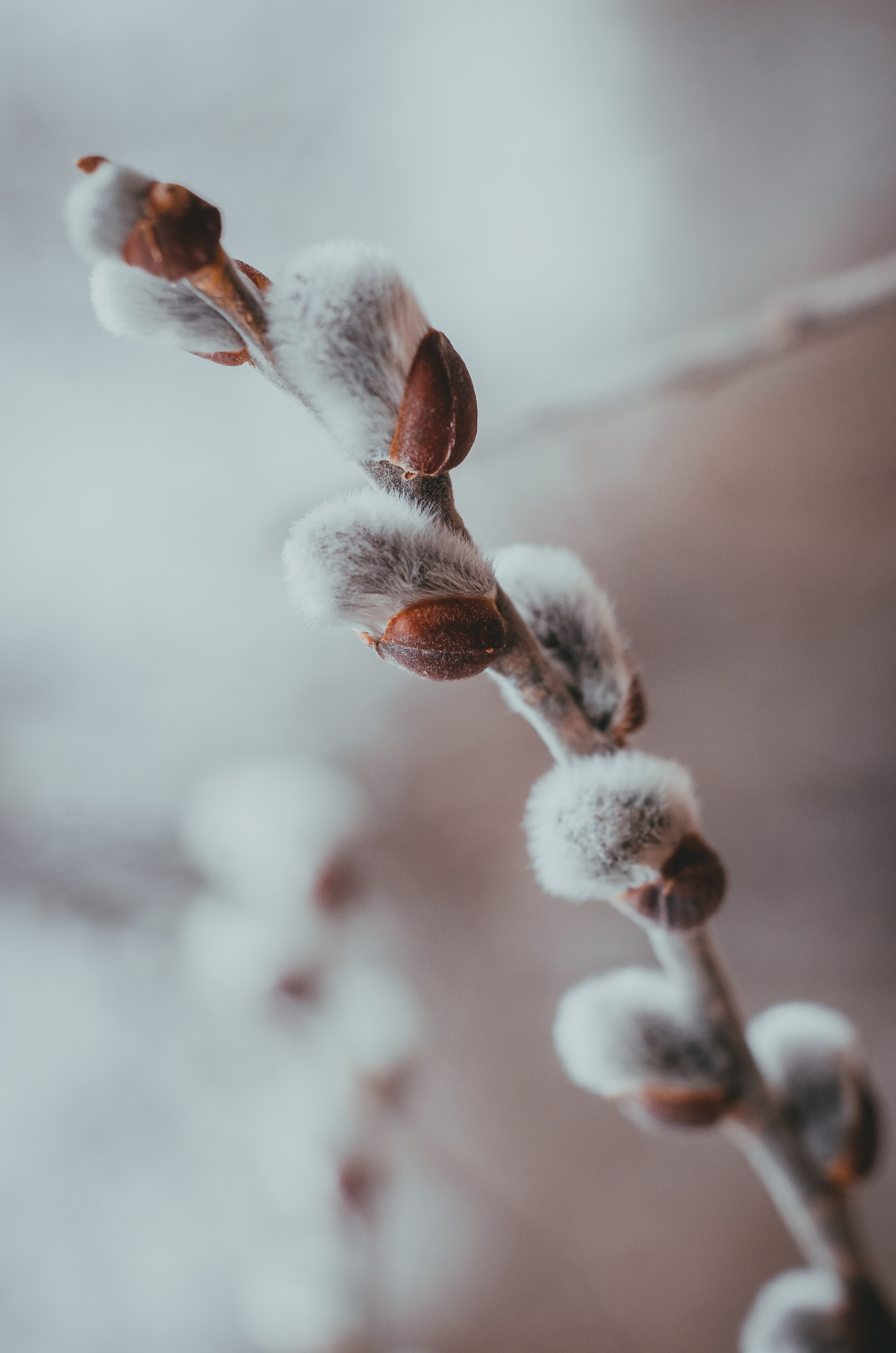 Daniil Silantev 0Tzwjsuuot8 Unsplash