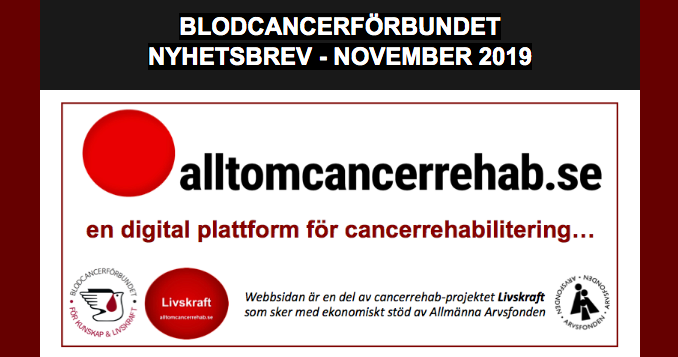 Skärmavbild 2019 12 02 Kl. 07.50.00