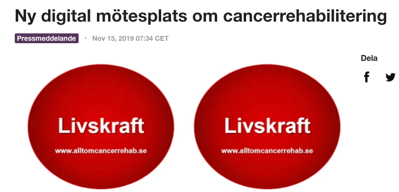 Skärmavbild 2019 11 15 Kl. 07.56.26