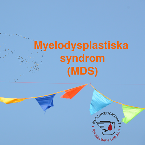 Om MDS genrebild BLCF kvadrat