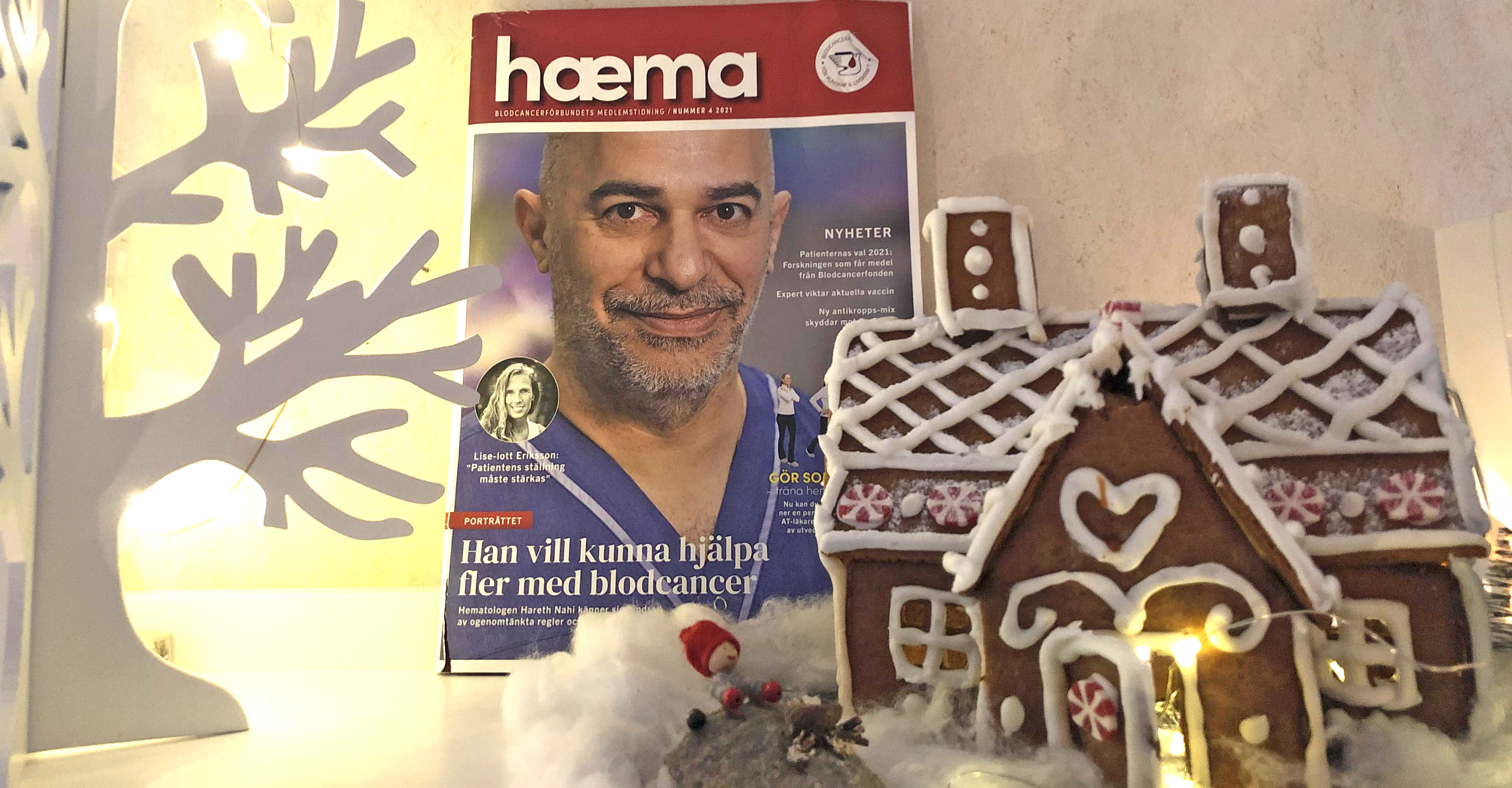 Haemaomslag 4 2021 Med Pepparkakshus 16X9 Redigerad 3